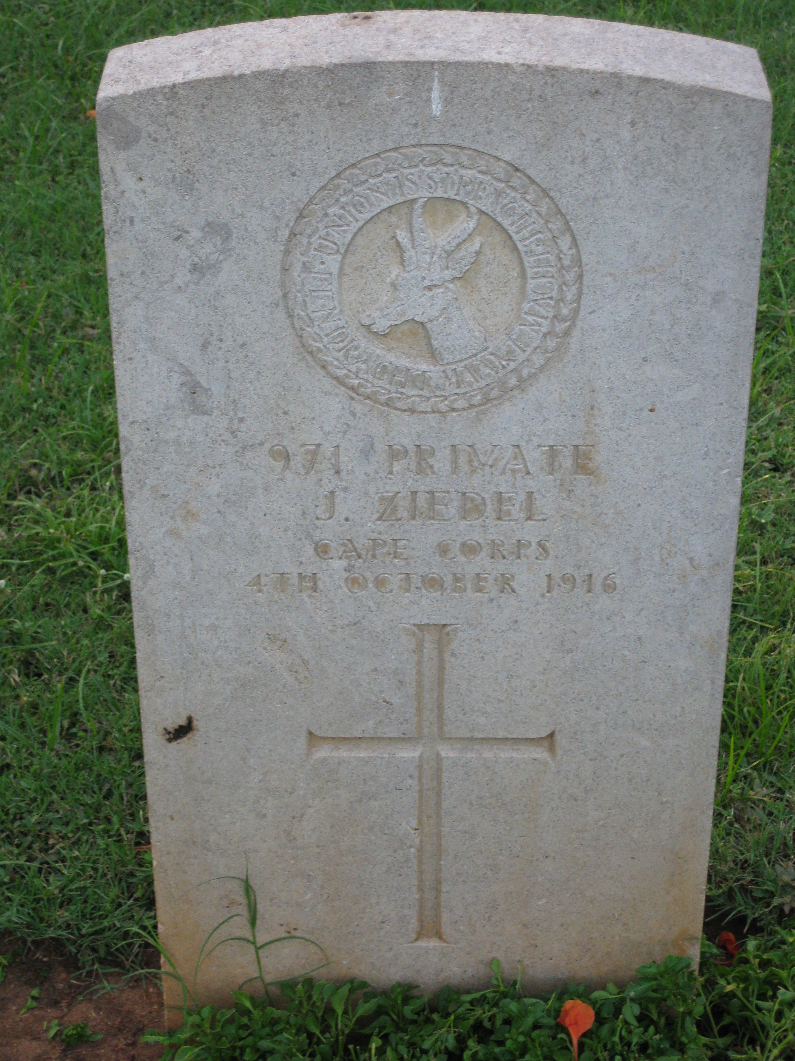 Photo from /search/photos/Tanzania/DAR ES SALAAM WAR CEMETERY/ZIEDEL_J.jpg